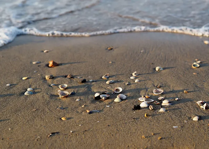 Cozy Flat 80mt From The Beach-beahost *